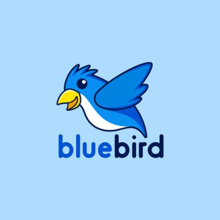 New Bluebird Bank Accounts